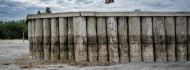 Photo of Garázsbuherább a Balatonnál, de lehetne belőle turistamágnes: a Velencei-tónál élők szerint nem a vízhiány a fő probléma