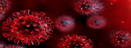 Photo of 261-re nőtt a beazonosított koronavírus-fertőzöttek száma és 28-ra a gyógyultaké