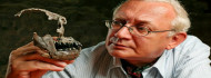Photo of Elhunyt Dr. Kordos László