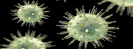 Photo of Megtalálták az egyik leggyakoribb vírus gyenge pontjait