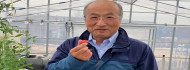 Photo of Ebből a paradicsomból egyetlen szem is csökkenti a magas vérnyomást – a génszerkesztés japán úttörőjével beszélgettünk