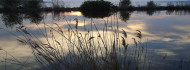Photo of Balaton-probléma 2026-ban