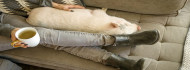 Photo of Véletlenül háziállatként tartott malacokat vágtak le a házhoz rendelhető hentesek