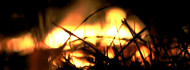 Photo of Már hat megyében van tűzgyújtási tilalom