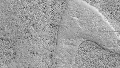 Photo of Csillagflotta logó van a Marson.
